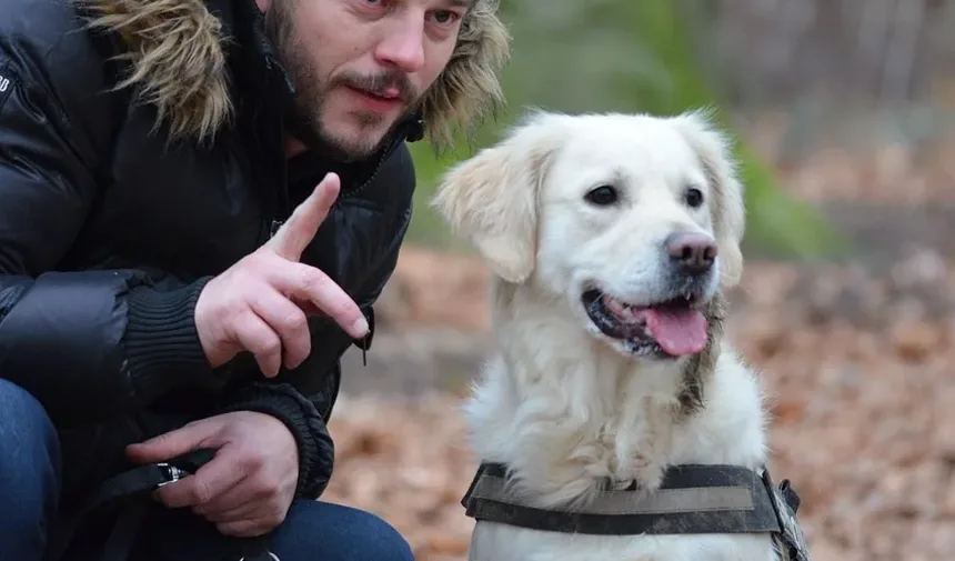 Como Saber Se Meu Cão Está com Doença de Lyme por Carrapato?