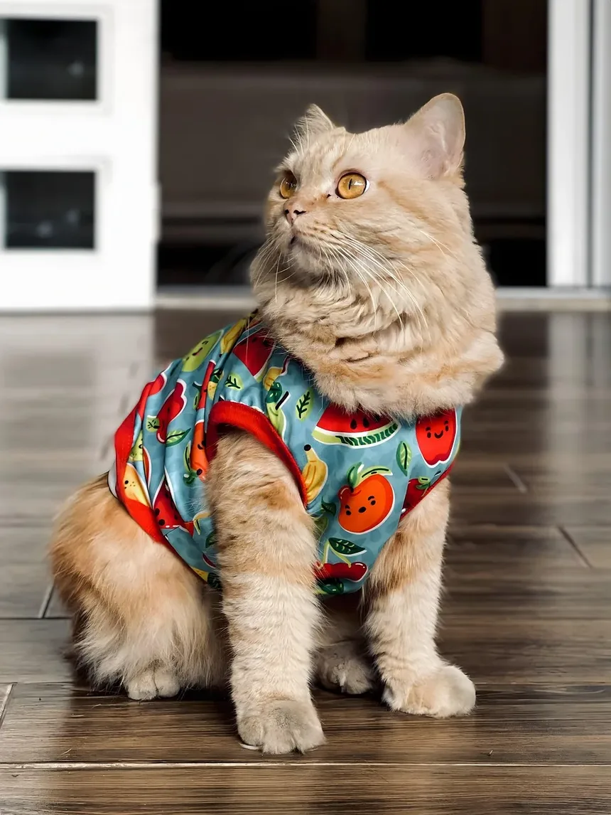 Com que frequência devo dar banho no meu gato com pulgas?