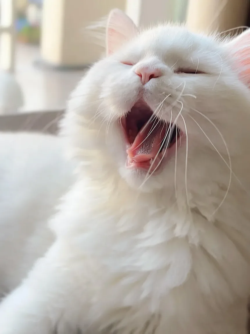 Como Cortar as Unhas do Seu Gato Sem Levar Mordidas: Um Guia Completo